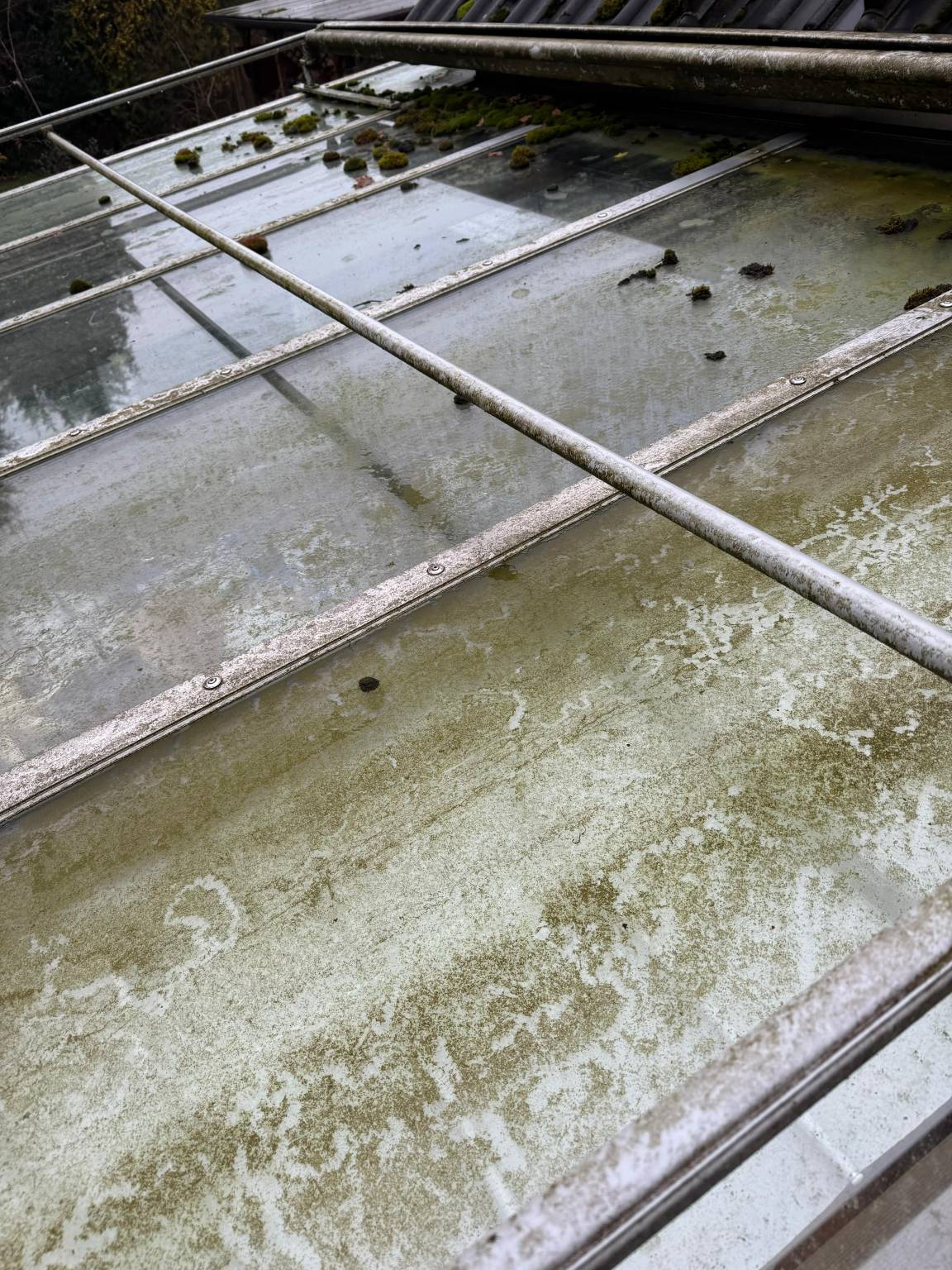 WhatsApp Bild 2025-01-09 um 19.29.12_1a490698