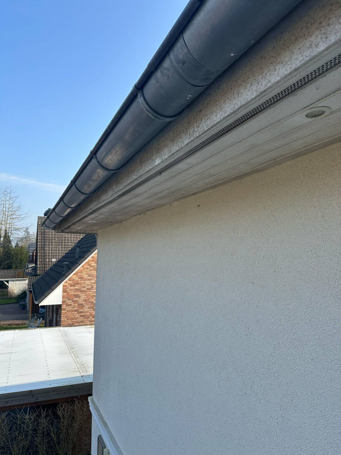 WhatsApp Bild 2025-02-19 um 13.01.15_5547cbe0