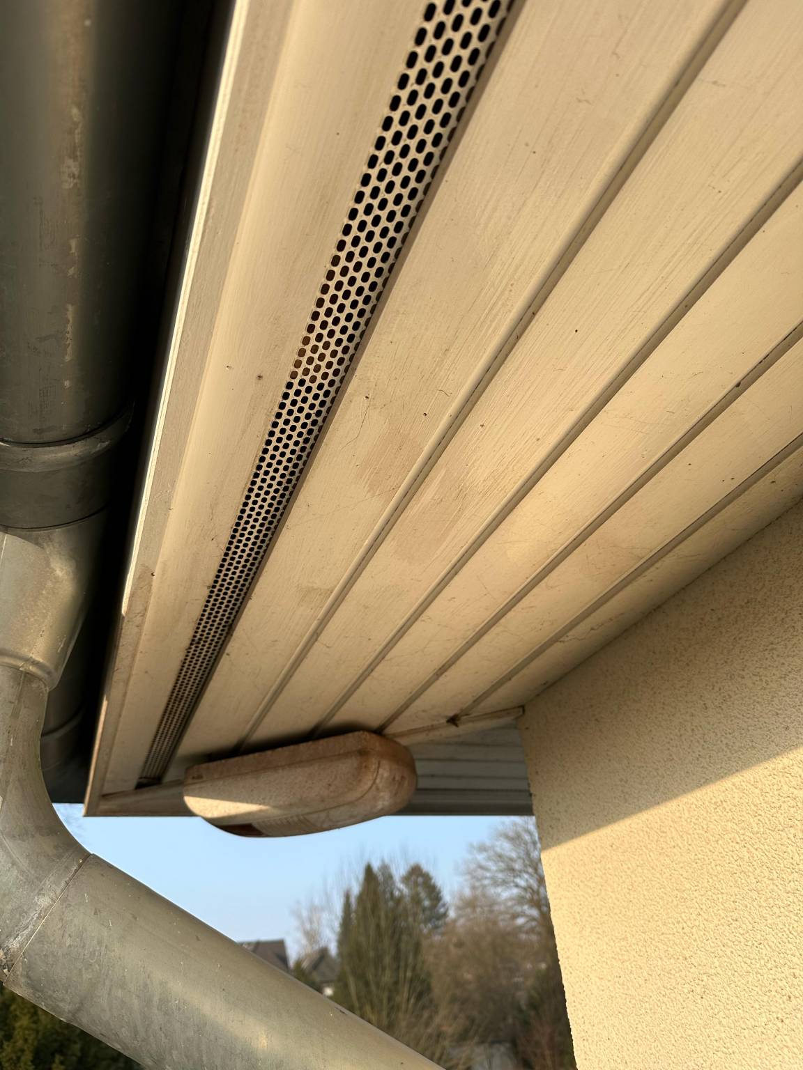 WhatsApp Bild 2025-02-19 um 13.01.16_152616eb