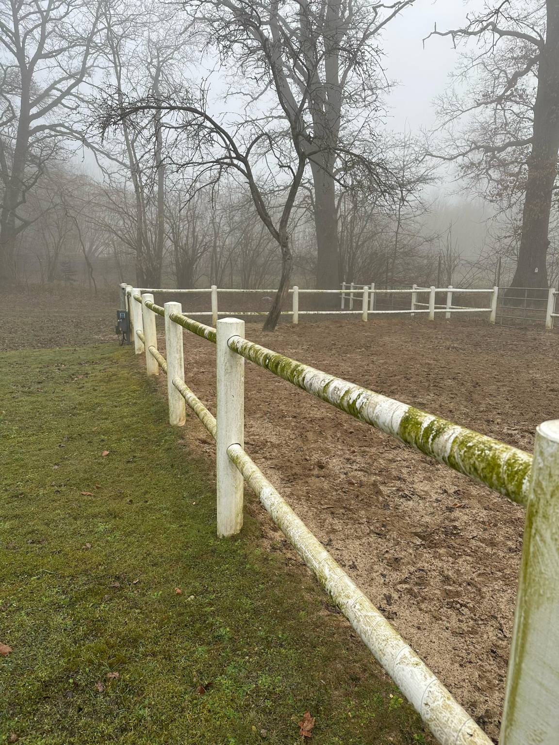 WhatsApp Bild 2025-03-10 um 19.32.51_3c099ddb