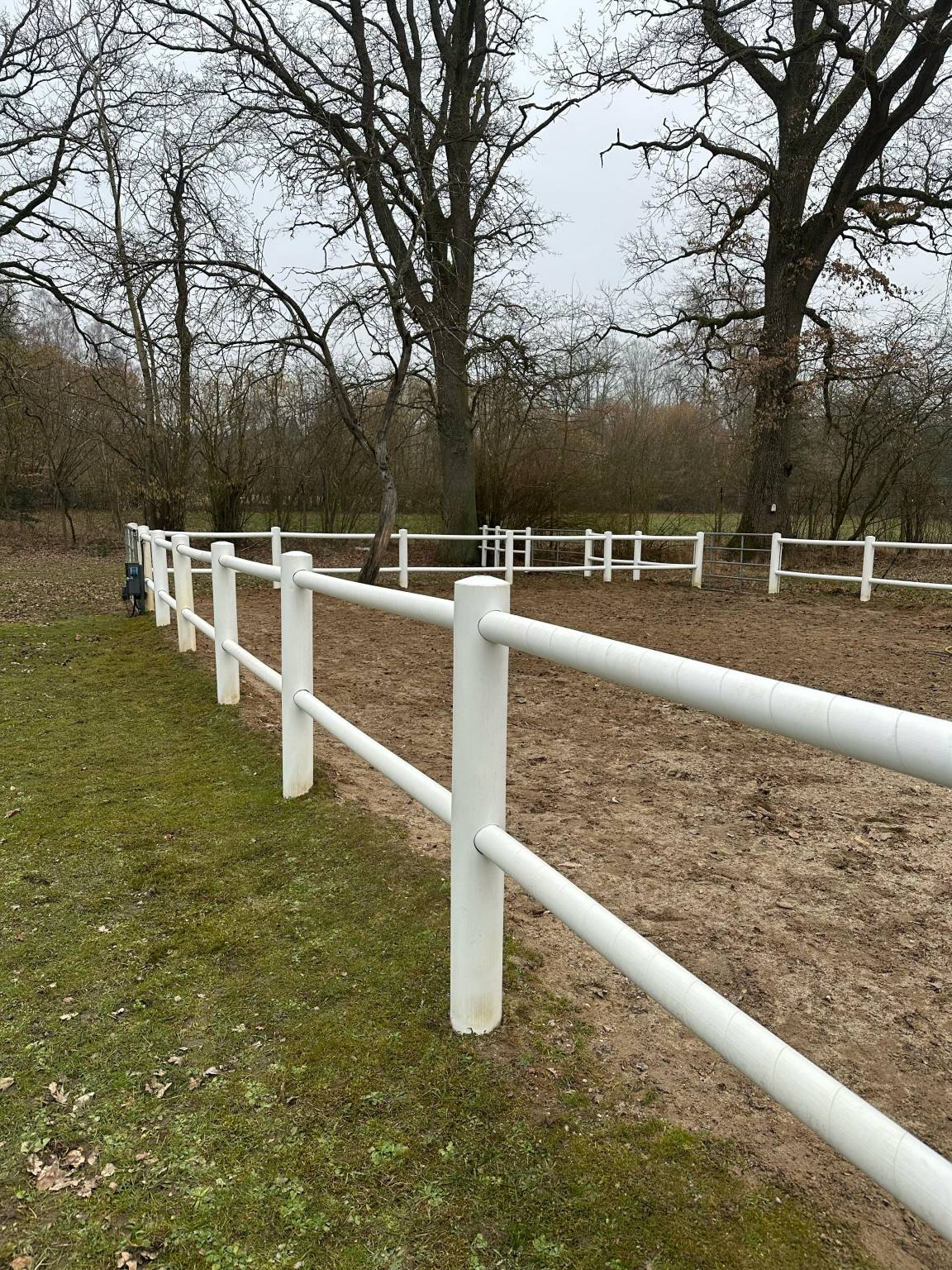 WhatsApp Bild 2025-03-10 um 19.32.52_6d28e328