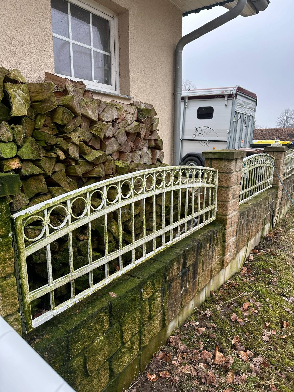 WhatsApp Bild 2025-03-10 um 19.32.52_f3178b6d